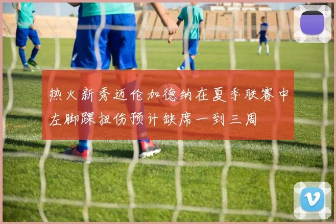 热火新秀迈伦加德纳在夏季联赛中左脚踝扭伤预计缺席一到三周